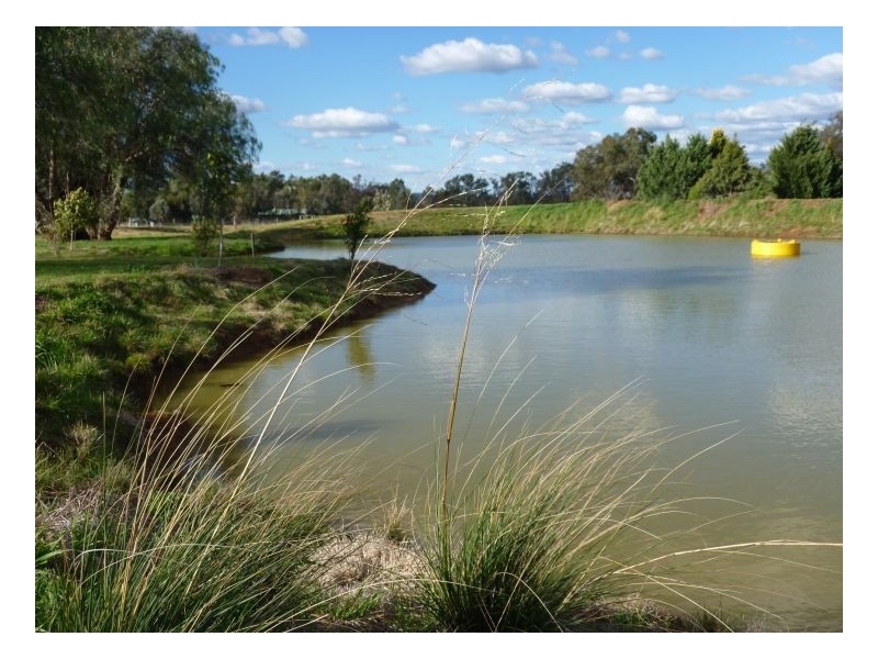 924 WARRAL ROAD, Tamworth NSW 2340