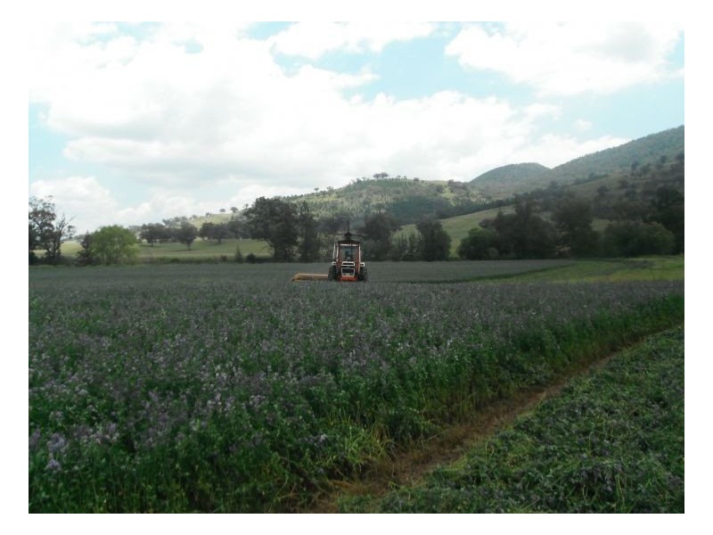 PINE HILL – Currabubula, Tamworth NSW 2340