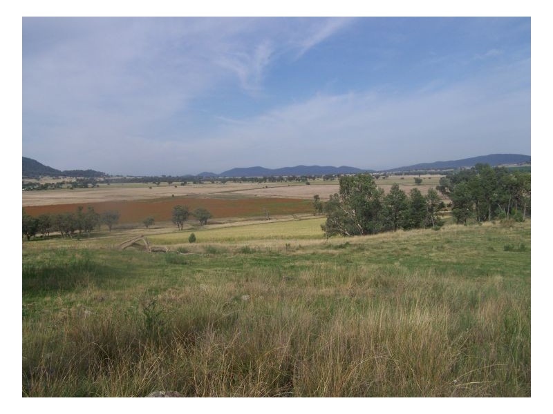 PINE HILL – Currabubula, Tamworth NSW 2340