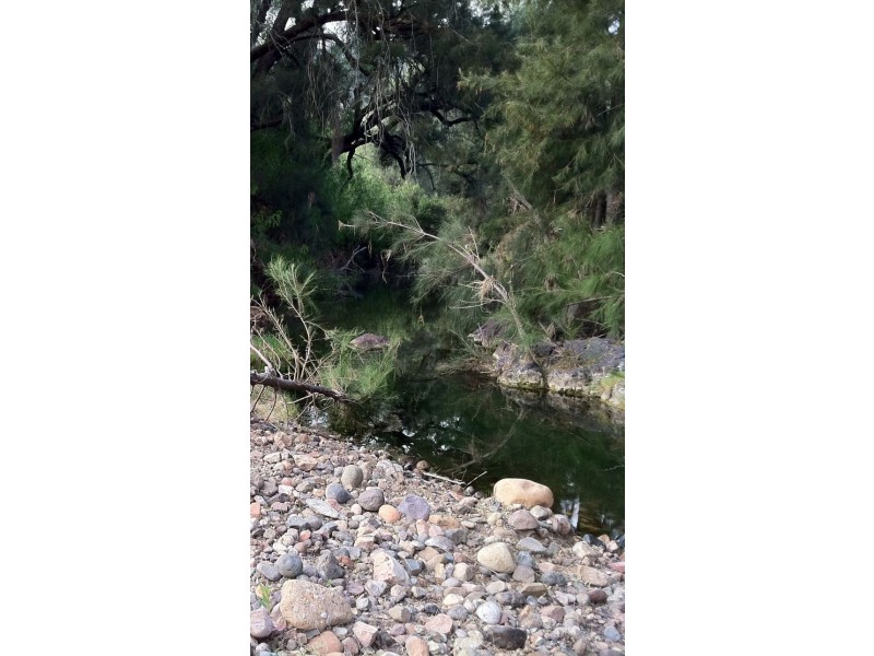 PINE HILL – Currabubula, Tamworth NSW 2340