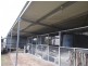 62 SCOTLAND STREET – Somerton, Tamworth NSW 2340