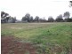62 SCOTLAND STREET – Somerton, Tamworth NSW 2340