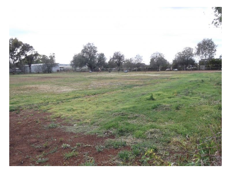 62 SCOTLAND STREET – Somerton, Tamworth NSW 2340