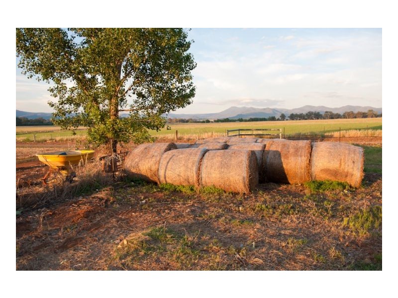 Tamworth NSW 2340