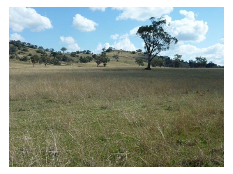 CURRA ACRES – Currabubula, Tamworth NSW 2340