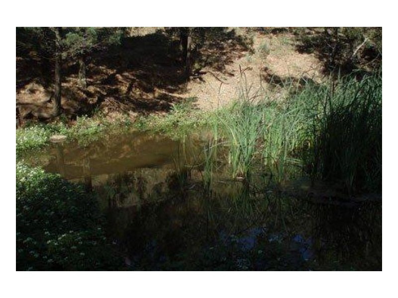 CURRA ACRES – Currabubula, Tamworth NSW 2340