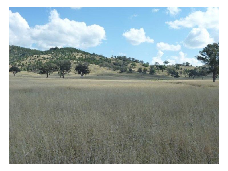 CURRA ACRES – Currabubula, Tamworth NSW 2340