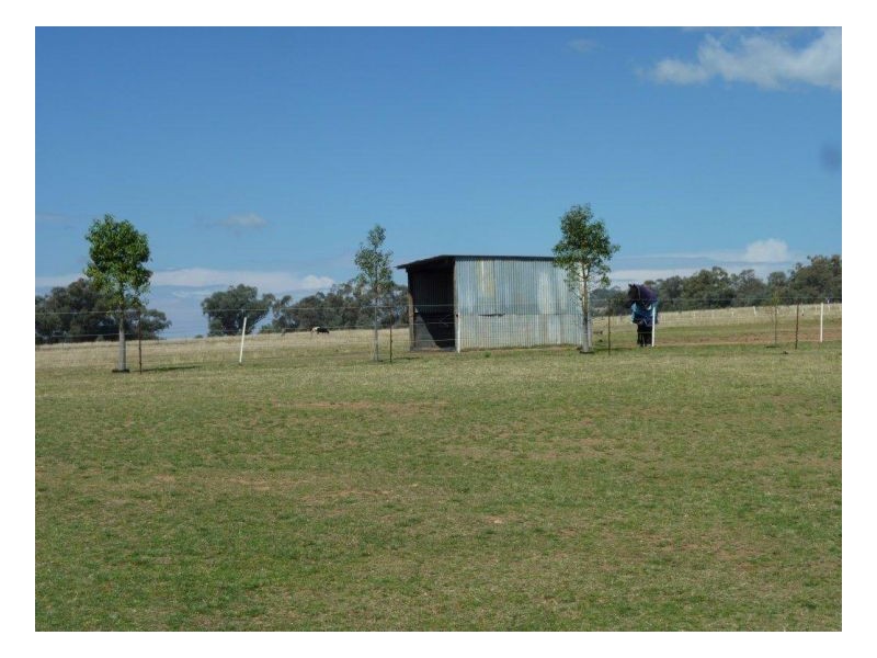 SCENIC VIEWS – Currabubula, Tamworth NSW 2340