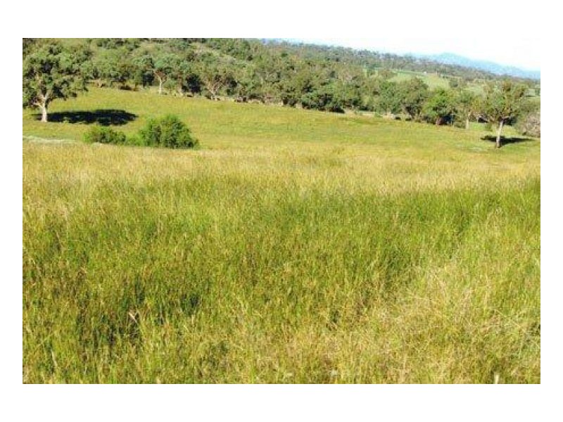 SCENIC VIEWS – Currabubula, Tamworth NSW 2340