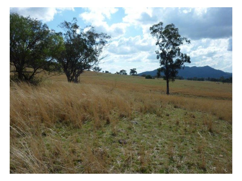 SCENIC VIEWS – Currabubula, Tamworth NSW 2340