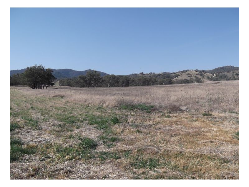 843 NUNDLE ROAD – Piallamore, Tamworth NSW 2340