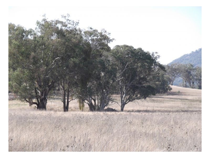 843 NUNDLE ROAD – Piallamore, Tamworth NSW 2340