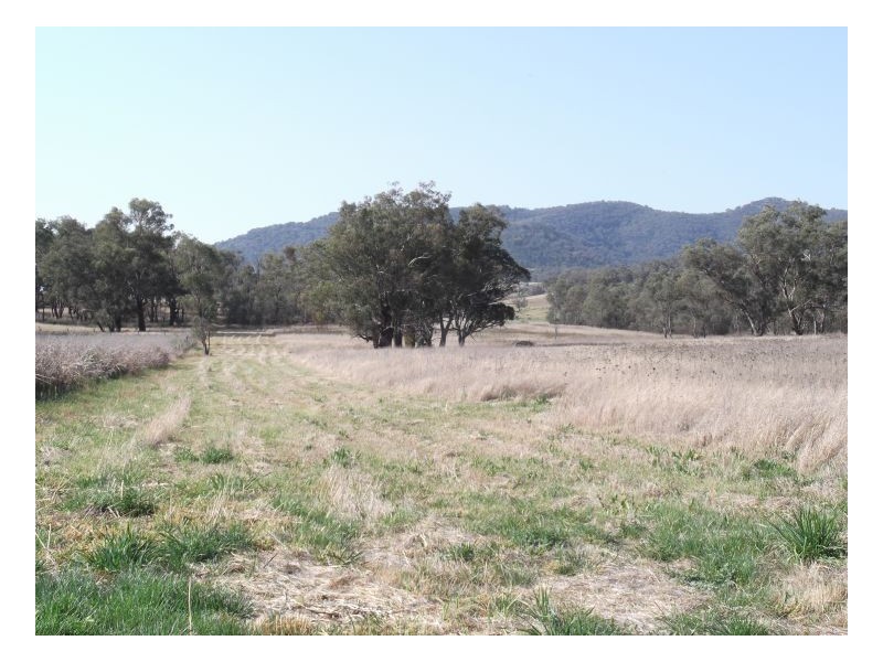 843 NUNDLE ROAD – Piallamore, Tamworth NSW 2340