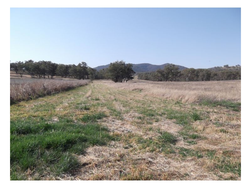 843 NUNDLE ROAD – Piallamore, Tamworth NSW 2340