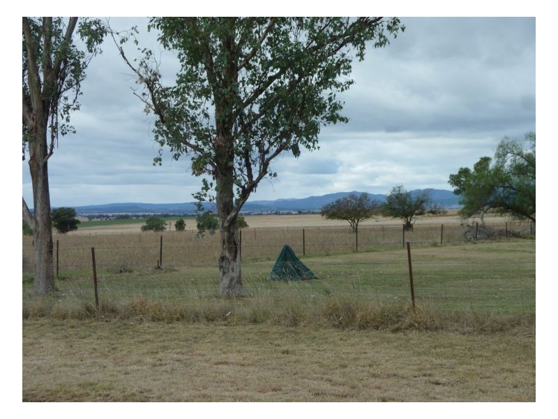 LEVANTIL – Somerton, Tamworth NSW 2340