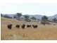 NAZ-TON PARK – Garthowen, Tamworth NSW 2340