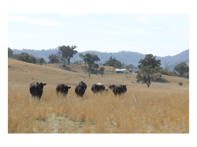NAZ-TON PARK – Garthowen, Tamworth NSW 2340