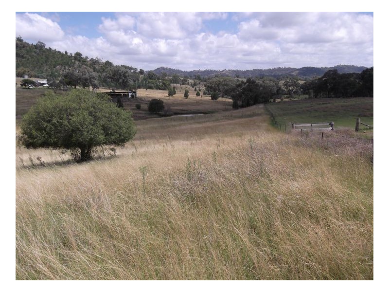 NAZ-TON PARK – Garthowen, Tamworth NSW 2340