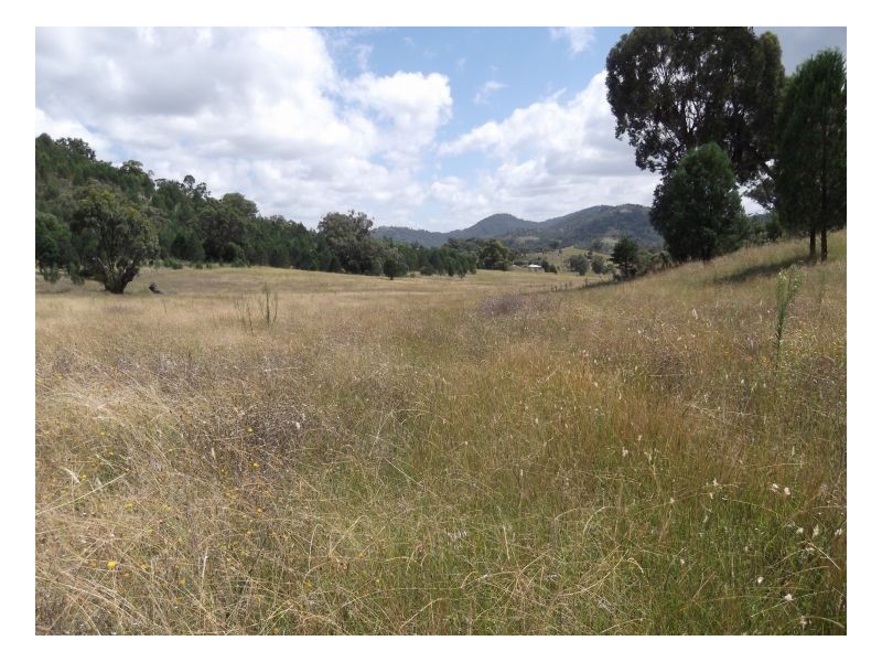 NAZ-TON PARK – Garthowen, Tamworth NSW 2340