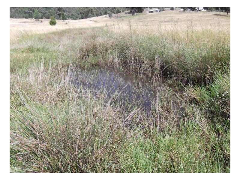 NAZ-TON PARK – Garthowen, Tamworth NSW 2340