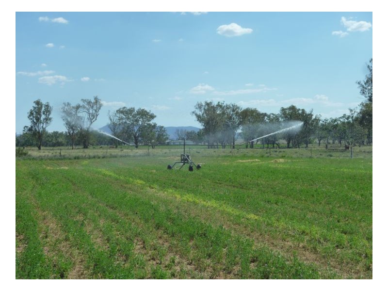 DANALIE – Warral, Tamworth NSW 2340