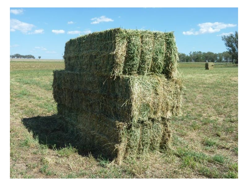 DANALIE – Warral, Tamworth NSW 2340