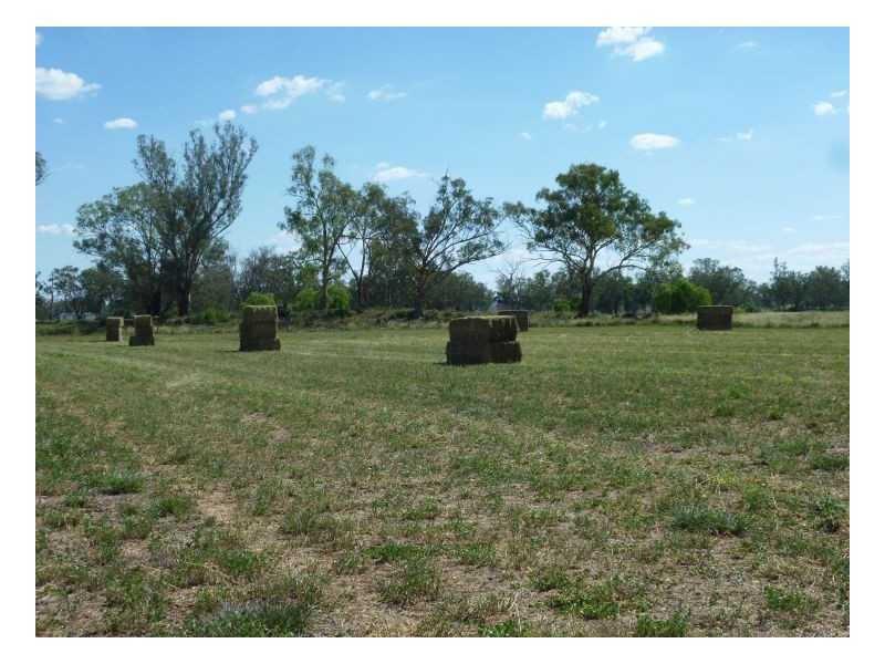 DANALIE – Warral, Tamworth NSW 2340