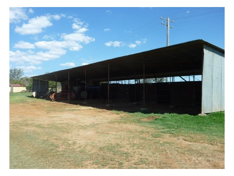 DANALIE – Warral, Tamworth NSW 2340