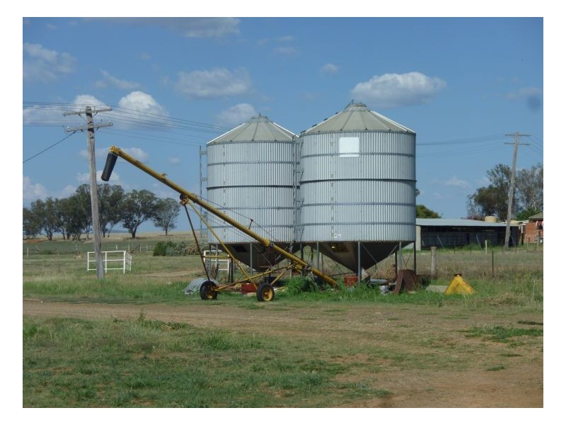 DANALIE – Warral, Tamworth NSW 2340