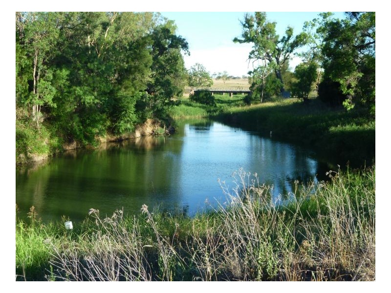 IMPALA – Warral, Tamworth NSW 2340