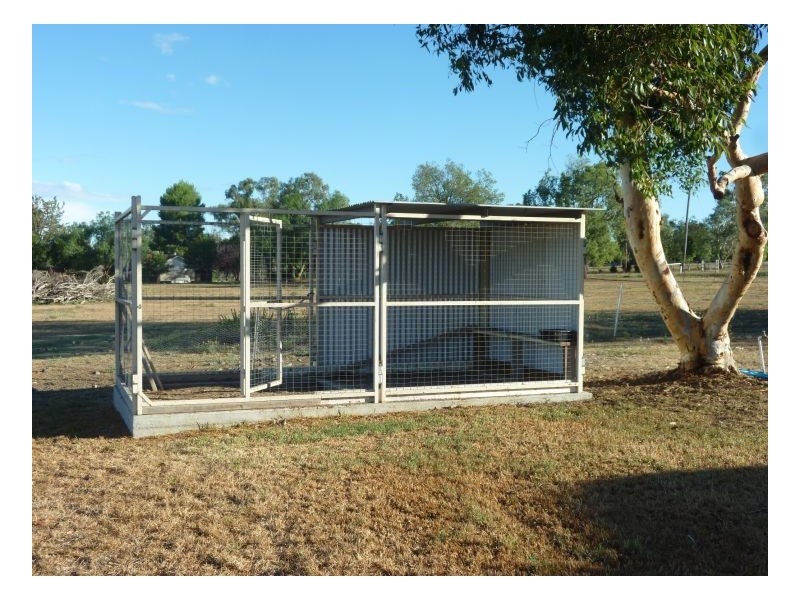 IMPALA – Warral, Tamworth NSW 2340