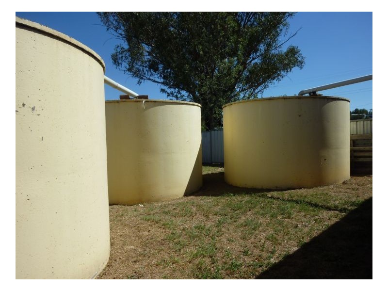 IMPALA – Warral, Tamworth NSW 2340