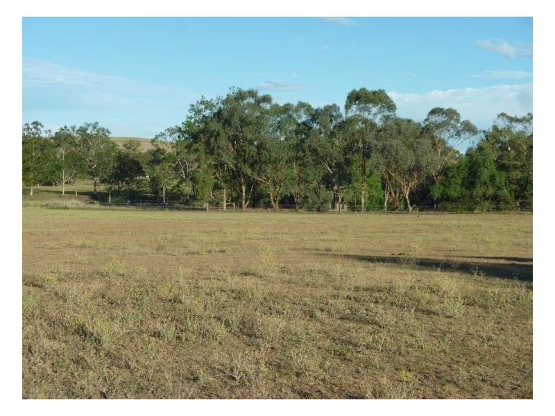 IMPALA – Warral, Tamworth NSW 2340