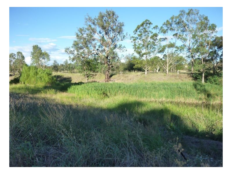 IMPALA – Warral, Tamworth NSW 2340