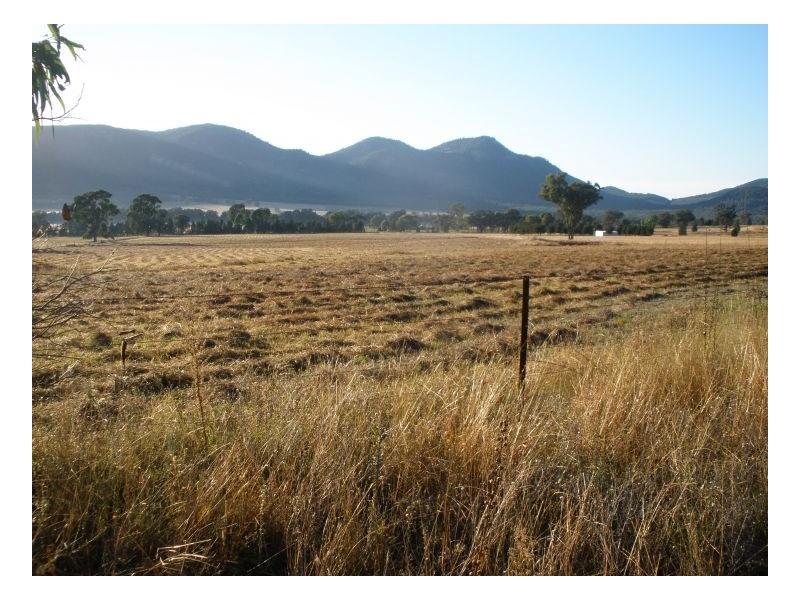 CURRAWONG – Moore Creek, Tamworth NSW 2340