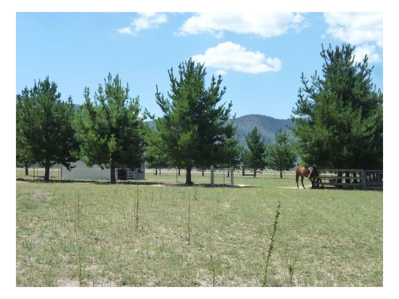 CURRAWONG – Moore Creek, Tamworth NSW 2340