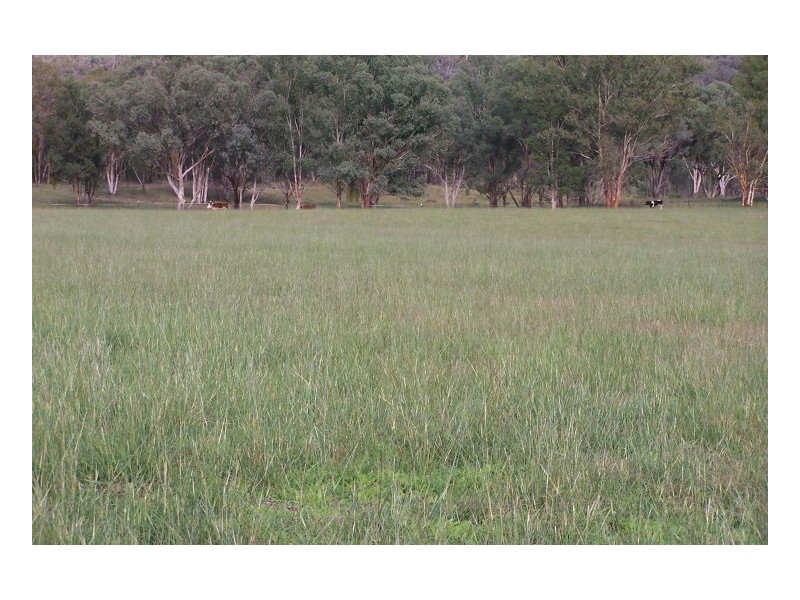 CURRAWONG – Moore Creek, Tamworth NSW 2340