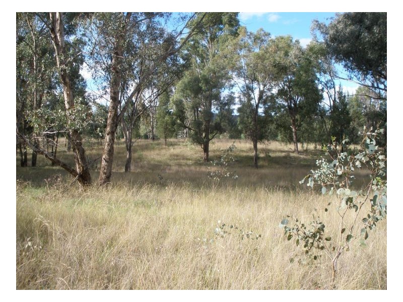 CURRAWONG – Moore Creek, Tamworth NSW 2340