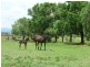 Tamworth NSW 2340
