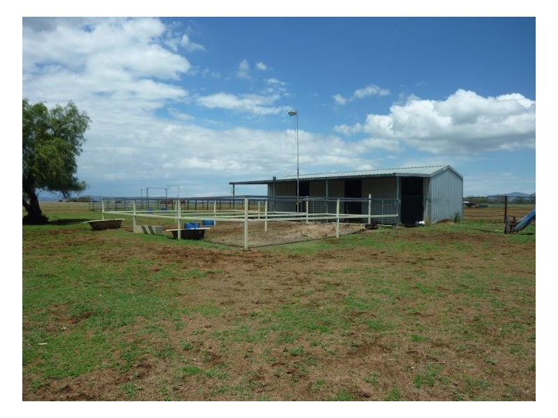 Tamworth NSW 2340