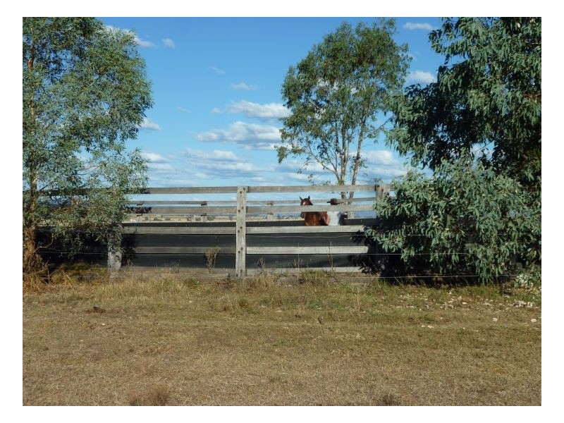 OLD LALLA ROOKH – Duri, Tamworth NSW 2340