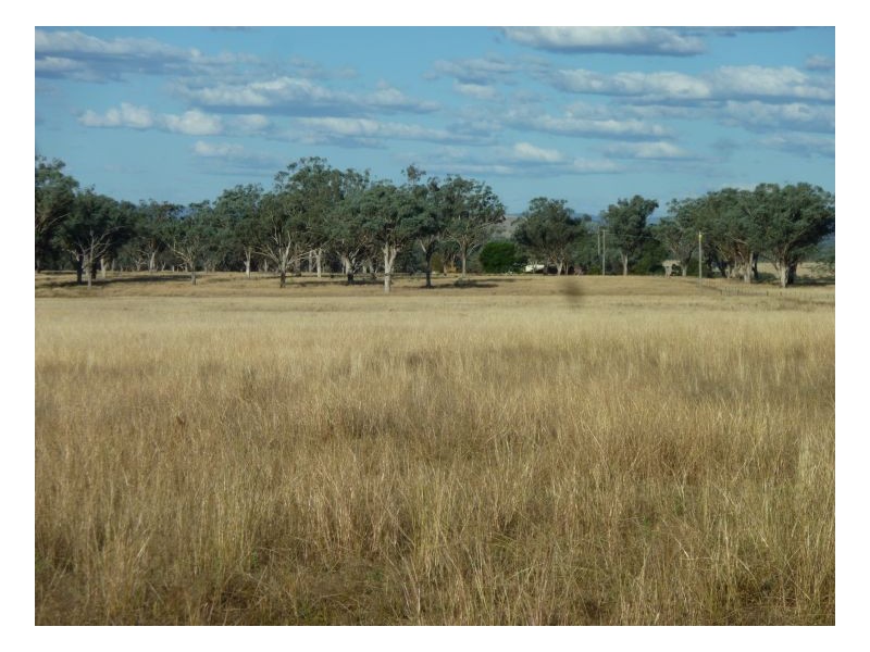 OLD LALLA ROOKH – Duri, Tamworth NSW 2340