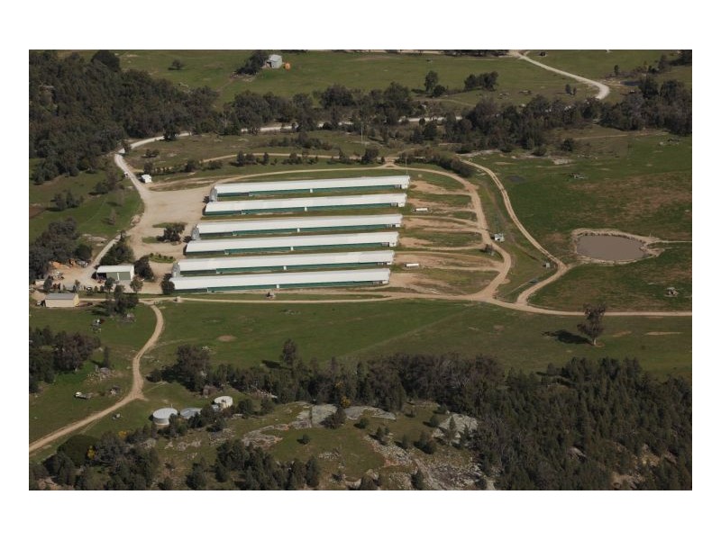 RUBY HEIGHTS – Kootingal, Tamworth NSW 2340