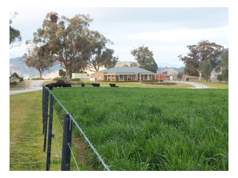 RUBY HEIGHTS – Kootingal, Tamworth NSW 2340