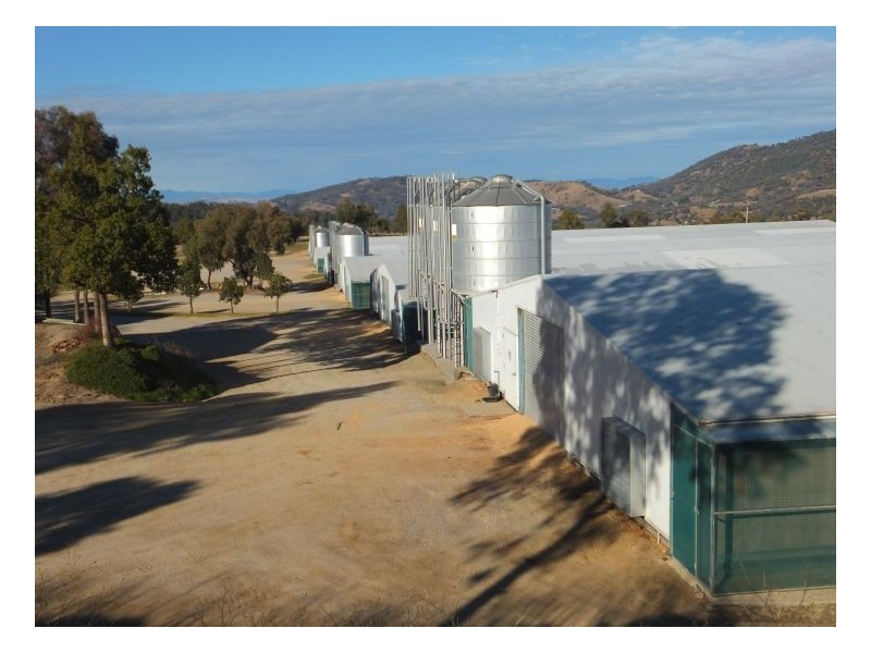 RUBY HEIGHTS – Kootingal, Tamworth NSW 2340