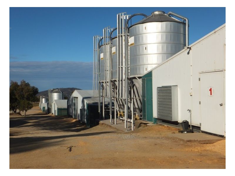 RUBY HEIGHTS – Kootingal, Tamworth NSW 2340