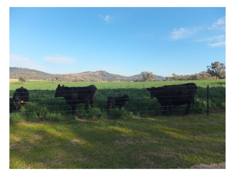 RUBY HEIGHTS – Kootingal, Tamworth NSW 2340