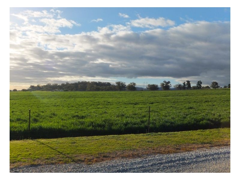 RUBY HEIGHTS – Kootingal, Tamworth NSW 2340
