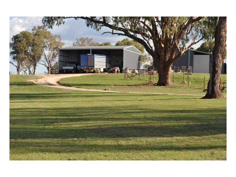 Tamworth NSW 2340