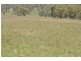 Tamworth NSW 2340